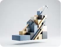 why-2